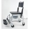 ПРОКАТ Кресло-коляска с санитарным оснащением ERGOFORCE E 0807
